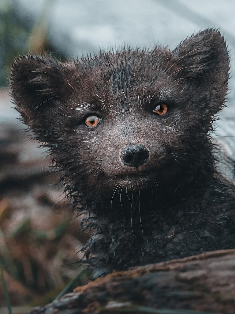     .        :     ... - 8