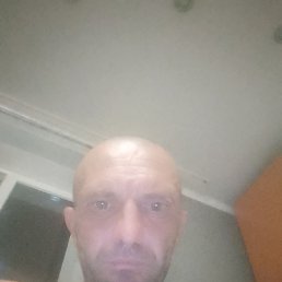 , 41 , 