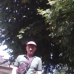 �����, ������, 46 ���