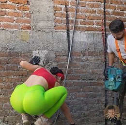 �����������