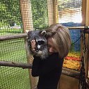 ���� ��������, �����������, 31 ��� - ��������� 21 ������� 2023 � ������ ���� ����������