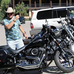 �����, ������, 36 ���