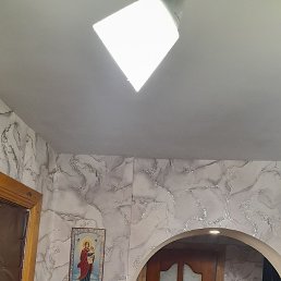 ����, 49 ���, ������