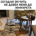 ���� ����, ��������� - ��������� 12 ��� 2026 � ������ ������ ��������