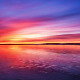 Reiman, ������, 26 ���