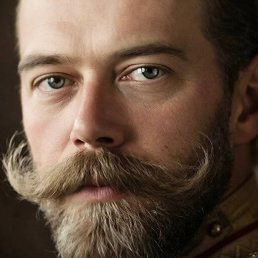 ����, 41 ���, ��������