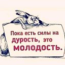���� ��������, �������, 66 ��� - ��������� 4 ������ 2026 � ������ ������ ��������