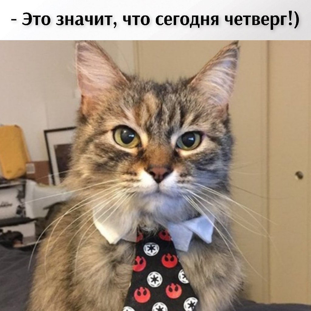 ��� ���� � ����� �� �� - 22 ������ 2026 � 11:12 - 2
