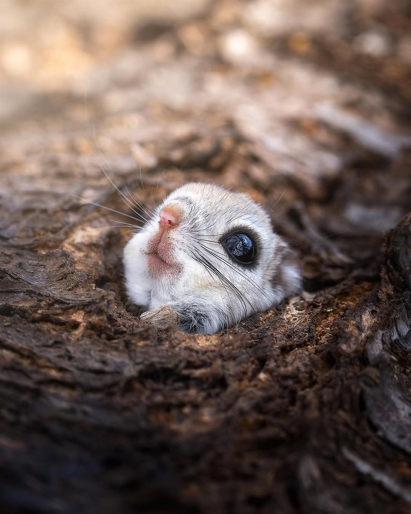   - -  . Ÿ   ,     ... - 6