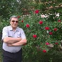   - , , 59  -  14  2024    