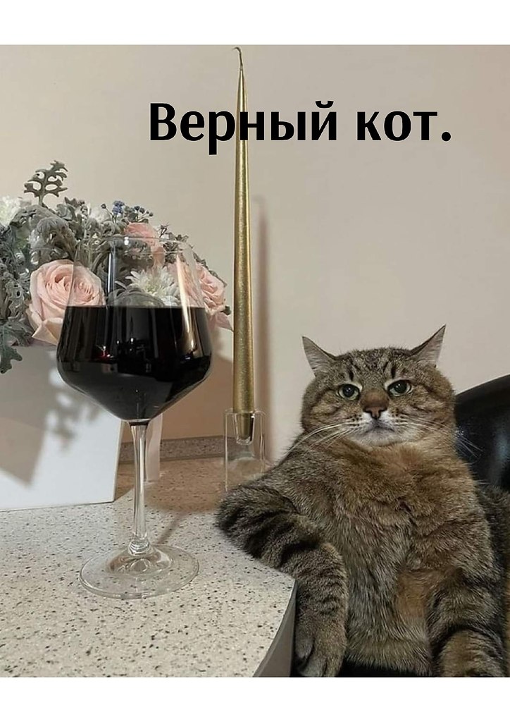       - 28  2025  22:04 - 4