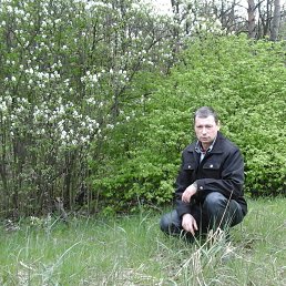 ������, 54 ����, �����