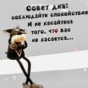 ���� �������, �����, 49 ��� - ��������� 29 ���� 2025 � ������ ���� ����������
