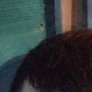 �����, 39 ���, ������