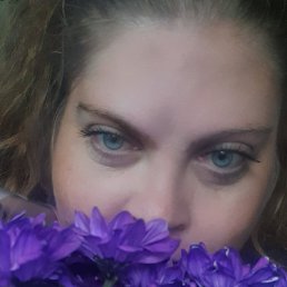 ���� ��������, ������, 41 ��� - ��������� 26 ���� 2026