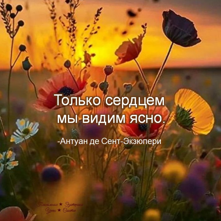 �������� ������ - 30 ���� 2026 � 20:13