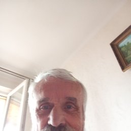 , 66, 