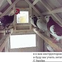 ���� Nadezda, �����, 71 ��� - ��������� 16 ���� 2024 � ������ ������ ��������