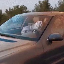 ���69, �������������, 54 ����