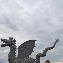 , 36, 