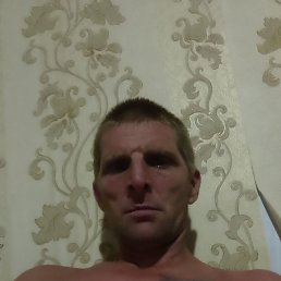 ����, 41 ���, ����
