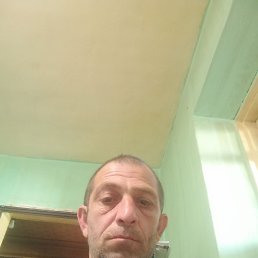 �����, 49 ���, ����