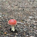 ���� ������, ����������, 25 ��� - ��������� 9 ������ 2025 � ������ ���� ����������