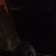 , 45 , -