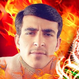 �����, �����-���������, 24 ����