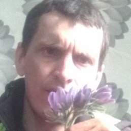 �����, �����-�������, 40 ���