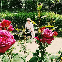 �����, ���������