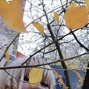  Irina, , 52  -  17  2025