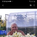 ���� �������, ������, 66 ��� - ��������� 15 ������ 2023