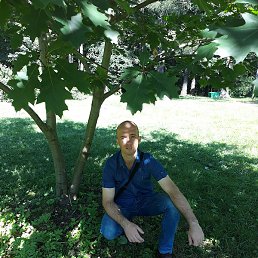 ���������, ������, 40 ���