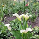 ���� ������, ������ - ��������� 15 ������� 2024 � ������ ���� ����������