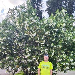 ������, 63 ����, ������