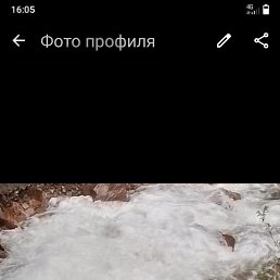 , 33 , 