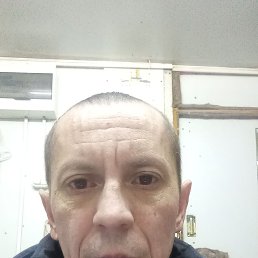 , 40, 