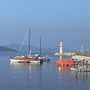 ���� ����, �������, 57 ��� - ��������� 29 ����� 2025