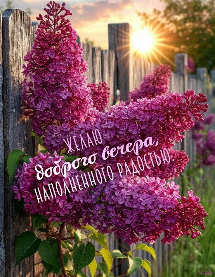 �������� ������ - 17 ��� 2026 � 17:50