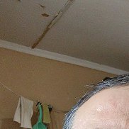 ����, 47 ���, ���