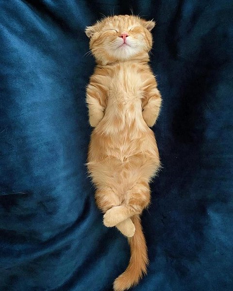   ,      ,     ! => - 4