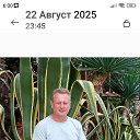 ���� �����, ���������, 56 ��� - ��������� 9 ������ 2026 � ������ ���� ����������