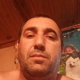 , , 44 
