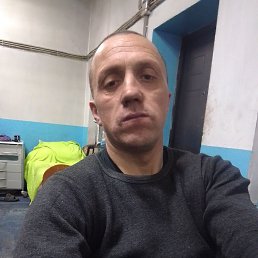 ����, 42 ����, �����������