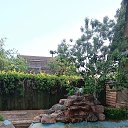 ���� ����, ������, 58 ��� - ��������� 11 ���� 2025 � ������ ���� ����������