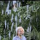 ���� ������, ���, 47 ��� - ��������� 9 ����� 2026