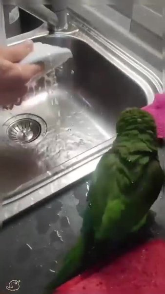 ������� - ��� ��� �������� ��������!