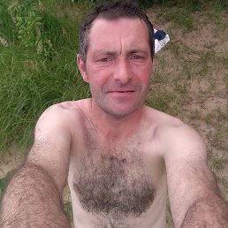 , 40, 