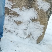 ������, 53 ����, �����������